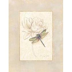Beautiful Bugs-Dragonfly Poster Print