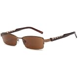 Identity SR4623-2 Half Rim Sun Reader