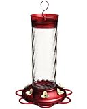 More Birds Diamond Glass Hummingbird Feeder with Seven Feeding Stations, 30 Fluid Ounce Capacity