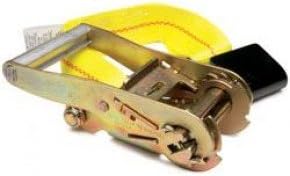 Kinedyne Corporation 519920 2" Fixed End Replacement Ratchet Strap With Flat Hook And Buckle