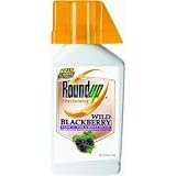 32 Con Blackberry Killer