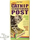 Pet Supplies : Four Paws Cat Post Wide with Catnip