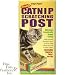 Four Paws Cat Post Wide with Catnip
