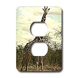 Wild animals - Giraffe - Light Switch Covers - 2 plug outlet cover