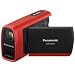 Panasonic SDR-SW20 Waterproof Flash Memory Camcorder with 10x Optical Zoom (Red)