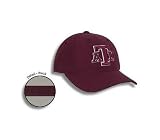 Texas A and M AMJ46
