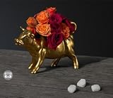 Roses - Le Charmeur