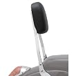 Cobra Short Sissy Bar 02-5968