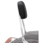 Cobra Short Sissy Bar 02-5745