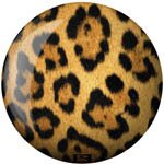 Buy Leopard