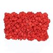 Red Coral Chip Stretch Bracelet- 8 IN