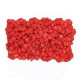 Red Coral Chip Stretch Bracelet- 8 IN