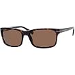 Hugo Boss 0319/S Men's Polarized Rectangular Full Rim Outdoor Sunglasses - Dark Havana/Brown