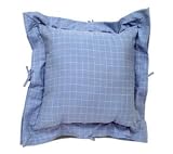 Double Flanged Decorative Pillow