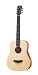 Taylor Guitars Baby Taylor, BT1, Natural Taylor Guitars Baby Taylor, BT1, Natural