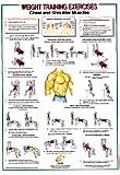 Chest / Shoulder Muscles Chart