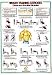 Chest / Shoulder Muscles Chart