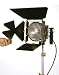 Lowel DP 1,000w Light D2-10