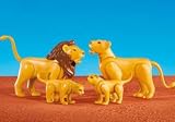 Lion Family