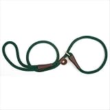 Slip Leash in Green Size: 4'