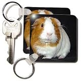 Guinea Pig - Guinea Pig - Key Chains