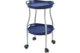 guzzini �O�b�`�[�j�@�g���[���[���S��(�u���[)
