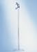 New drawings on the wall : Developed specially for wall mounting, this telescopic measuring rod is set for millimetre- accuracy from head to foot. Its extra- wide measuring slide and heel positioner provide excellent support for the seca 222.