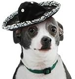 Mini Pet Sombrero