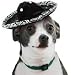 Mini Pet Sombrero