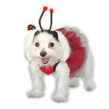 Lady Bug Dog Costumes Pageant Parade Dress 2pcs XS