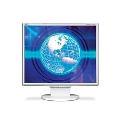 NEC LCD-175VXM+ 43,2 cm (17 Zoll) TFT Monitor, DVI / analog, silber / hellgrau (Kontrast 500:1, 8 ms Reaktionszeit)