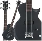 ESP LTD