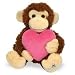 Shining Stars: Valentine Monkey