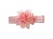 Apparel : Organza flower clip