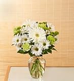 Flowers - Serene Green - Small