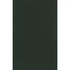 The Junius Manuscript