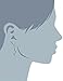 Amazon Collection 10K White Gold Black and White Diamond Dangle Earrings (1/3 cttw)