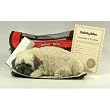Perfect Petzzz Pug