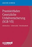  Praxisleitfaden Gesetzliche...