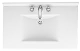 Swanstone CV2249-010 49-Inch by 22-Inch Contour Vanity Top, White Finish