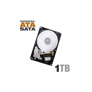 Hitachi 1 TB Deskstar  SATA 7200 RPM 32 MB Cache Internal Hard Drive HD31000 IDK/7K – Retail