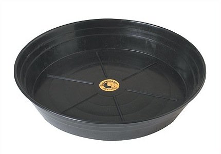 Champion Sports Ball Base