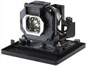 Replacement Lamp 3000HRS 165W for PTAE1000U