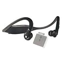 Motorola S9-HD Headset with D650 iPod Adapter (Gloss Black)