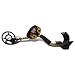 Fisher F2 Metal Detector