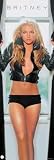 Britney Spears - Personality / Music Door Poster (Size: 21