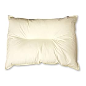 ���s����̉H����/�t�F�U�[�s���[ 43�~63cm