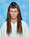 Brown Warrior Wig
