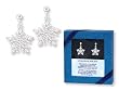Snowflake Earrings