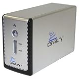 Cavalry Storage CADB-U32 Series 2 TB USB 2-bay JBOD Personal Disk Array CADB002U32